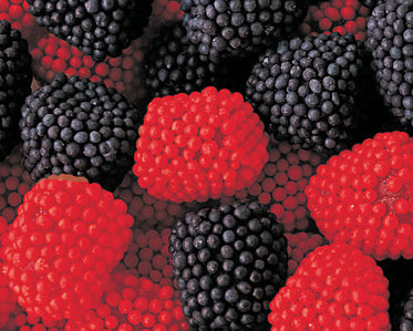 Jelly Belly Raspberries & Blackberries - 10lb CandyStore.com