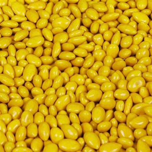 Yellow Sunflower Seeds Candy - 5lb Bulk CandyStore.com