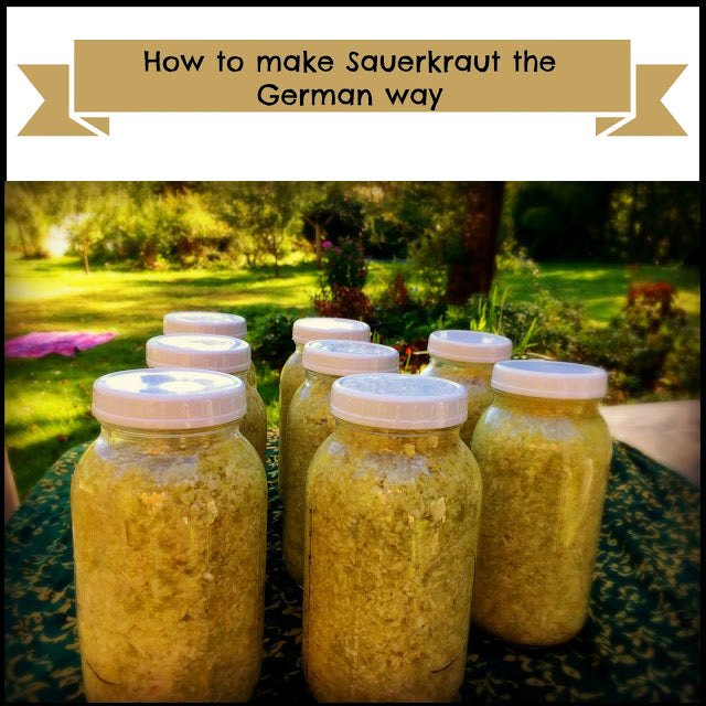 Sauerkraut