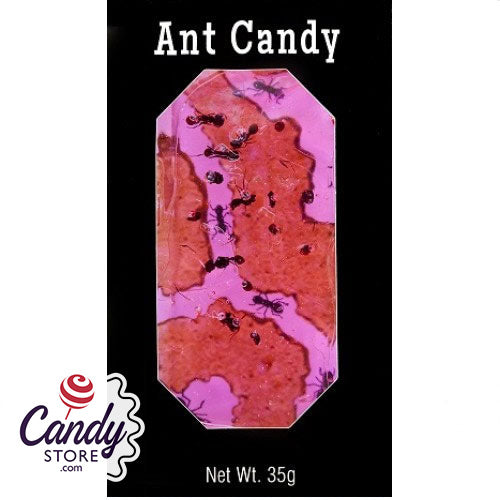 Ant Candy With Real Black Ants - 24ct CandyStore.com