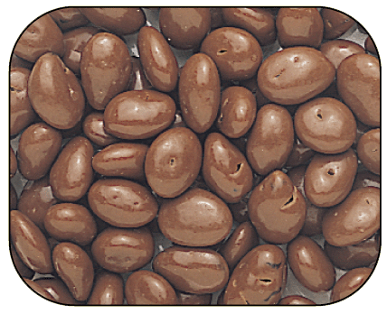 Chocolate-Covered Raisins - 5lb CandyStore.com