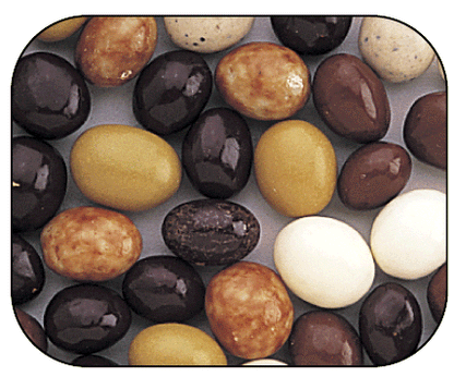 Chocolate Espresso Beans New York Mix - 5lb CandyStore.com