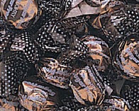 Chocolate Sugar Free Hard Candy - 5lb CandyStore.com