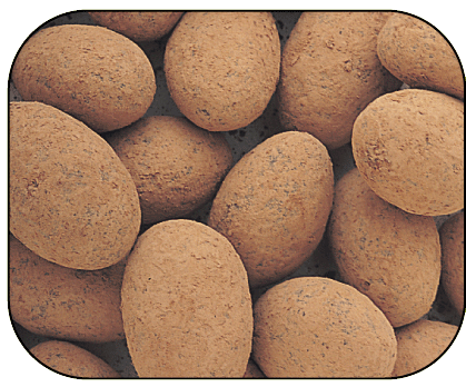 Cocoa Almonds - 5lb CandyStore.com